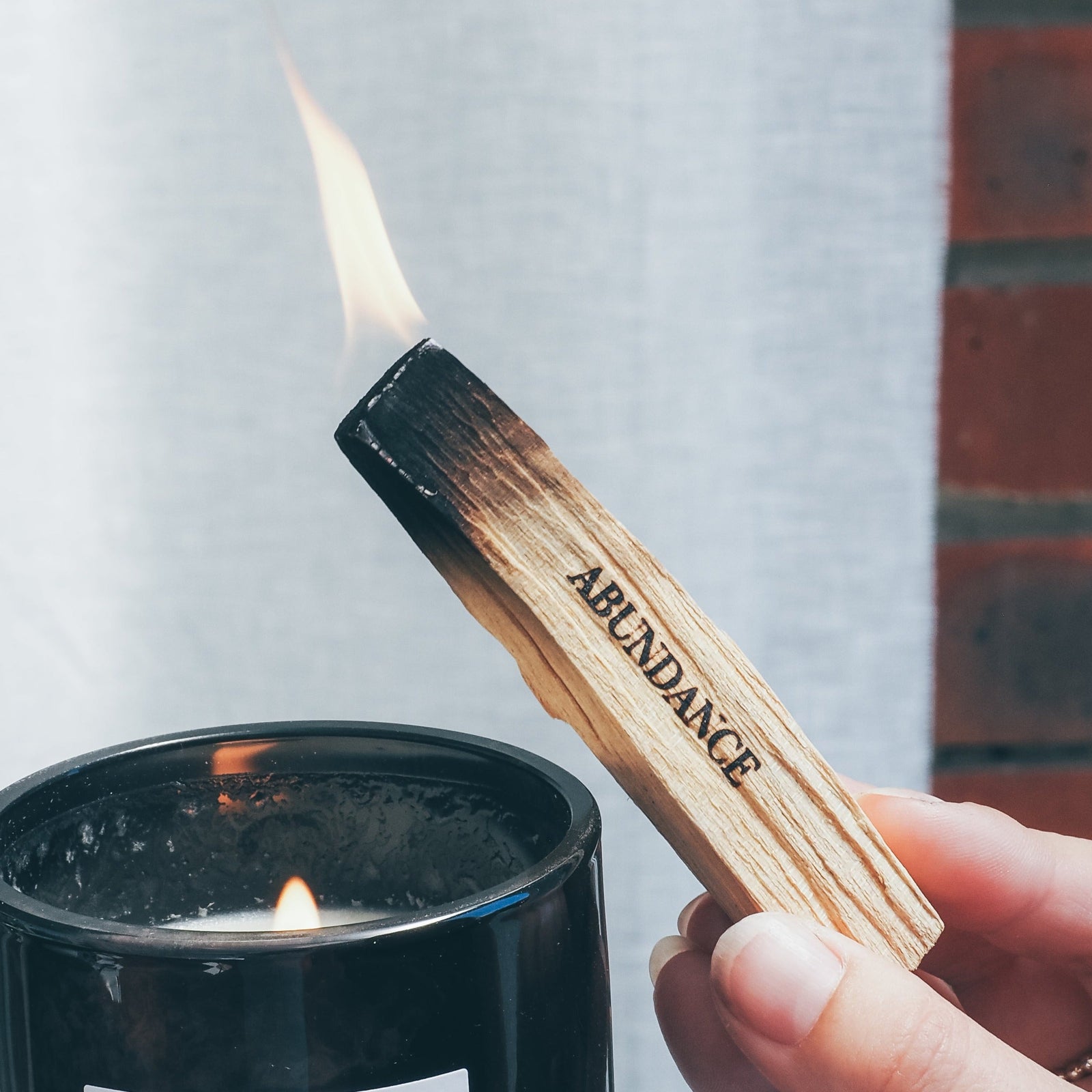 Palo Santo Cleansing Stick