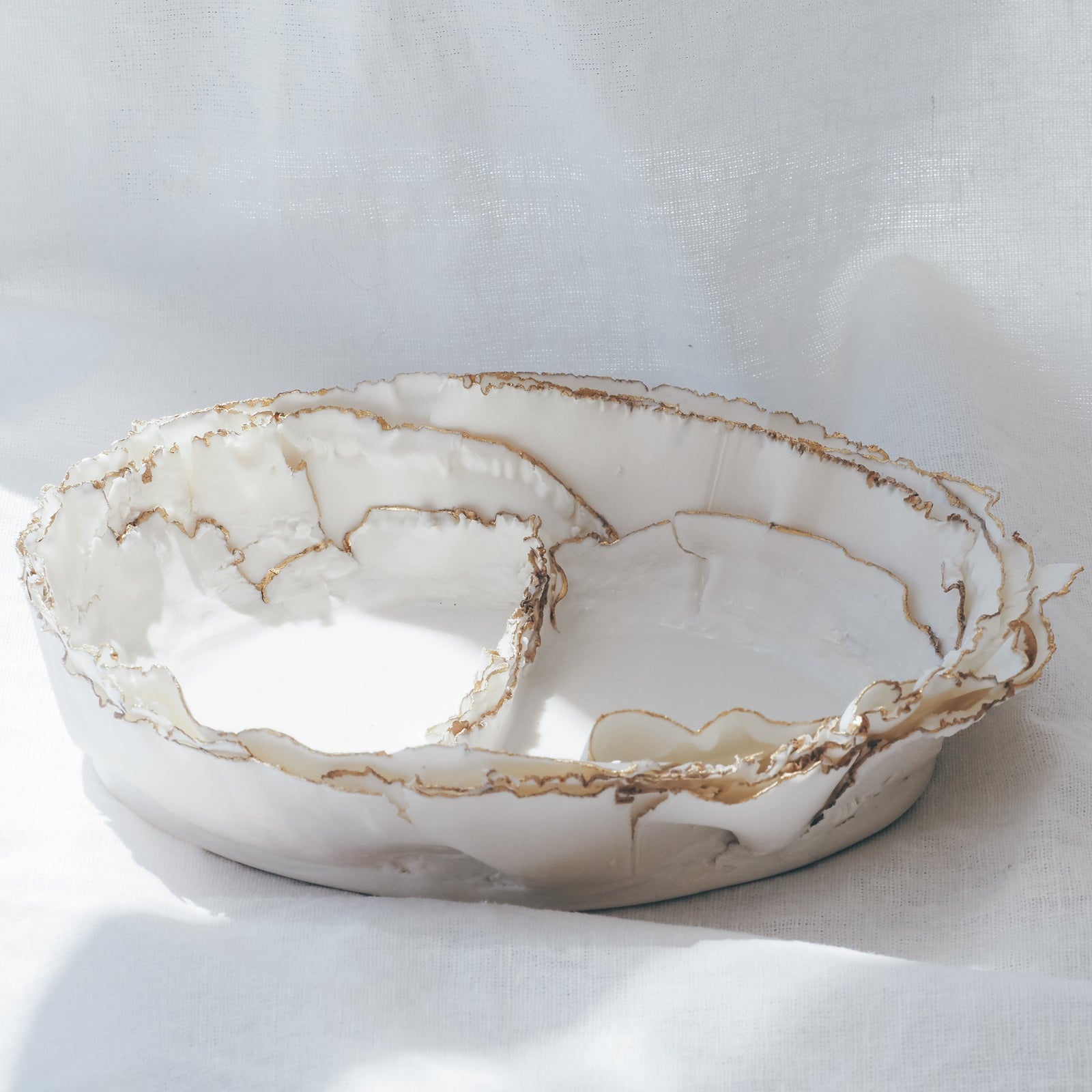 A R T x Sayegh & Sayegh - Partitioned Parmelia Trinket Dish