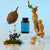 The Vitality Gift Set